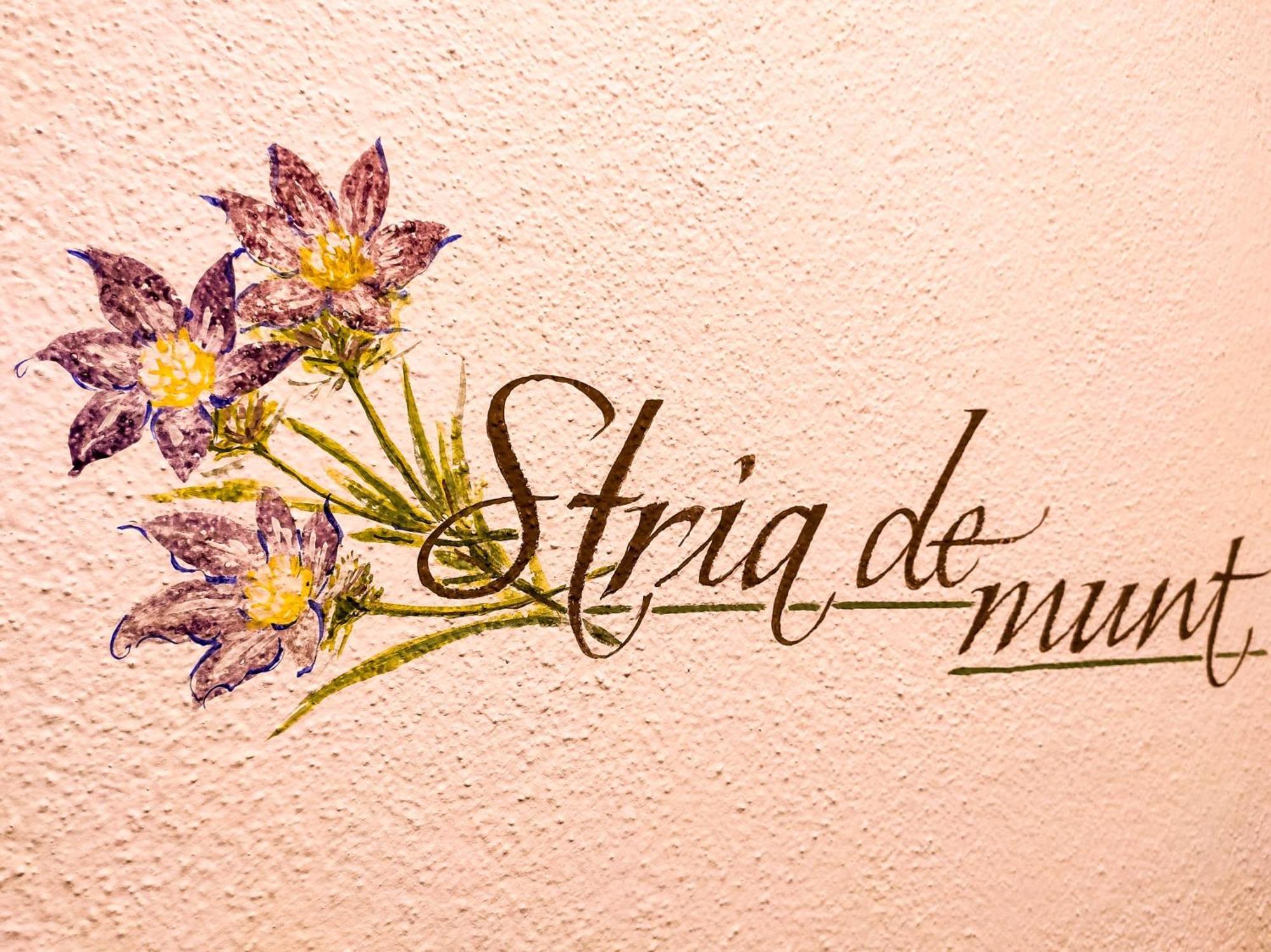 Agriturismo Anvi Badia  Værelse billede