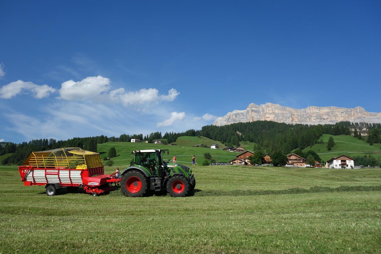 Agriturismo Anvi Badia  Eksteriør billede